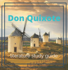 Don Quixote Literture Study Guide