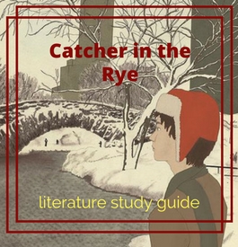 catcher rye guide study